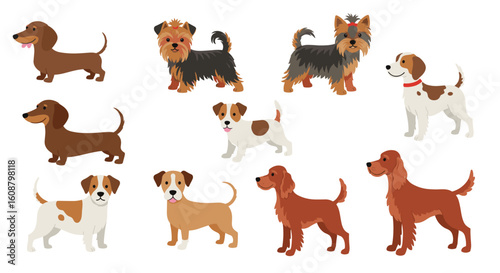 Adorable cartoon dogs collection with various breeds in flat style