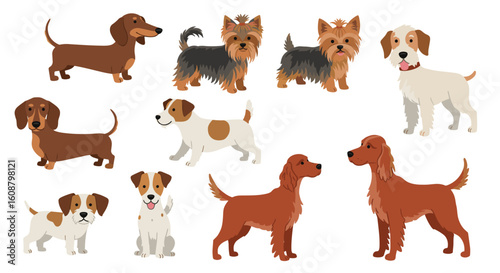 Collection of cute dog breeds in flat style