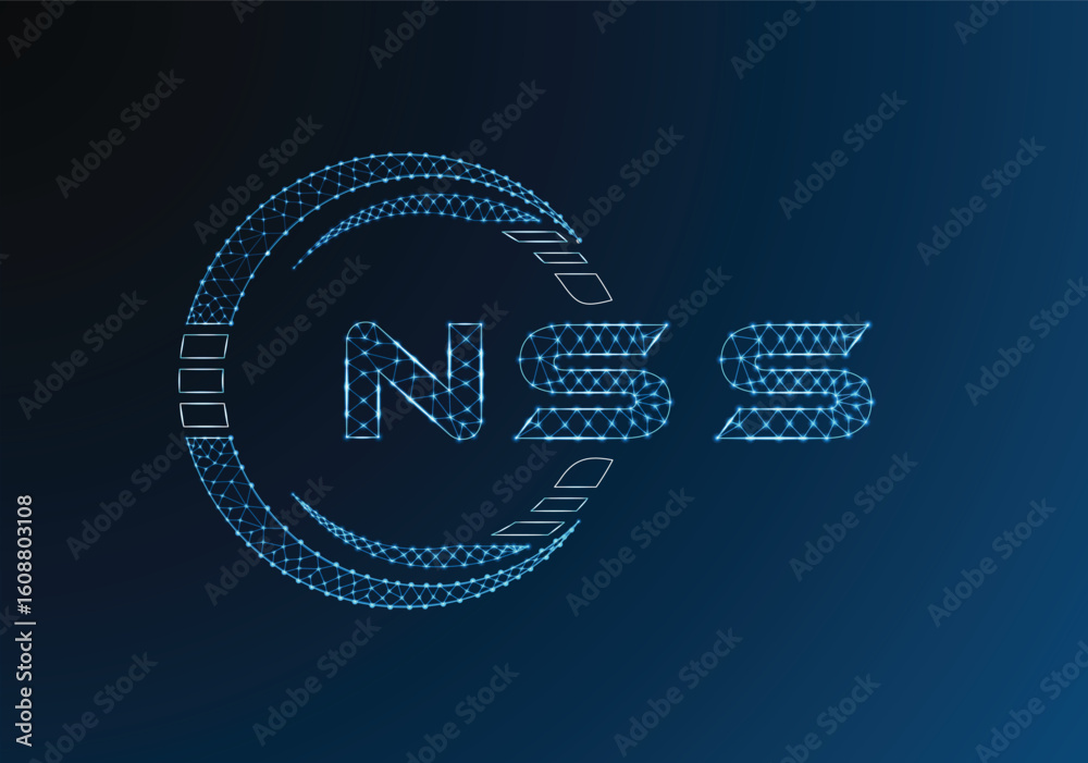 Obraz premium NSS low poly letter logo vector design. NSS lower poly logo design. Low poly logo.