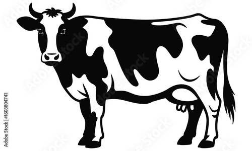 black and white cow