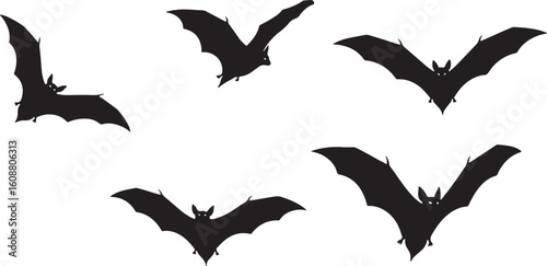 Five black bats flying in various poses silhouette, bats, flying, silhouette, black, wings, night, spooky, halloween, creatures, animals, wildlife, nature, dark, flight, nocturnal, mammals, chiroptera