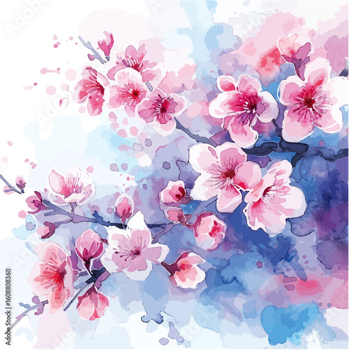 Watercolor background floral  Sakura (2)