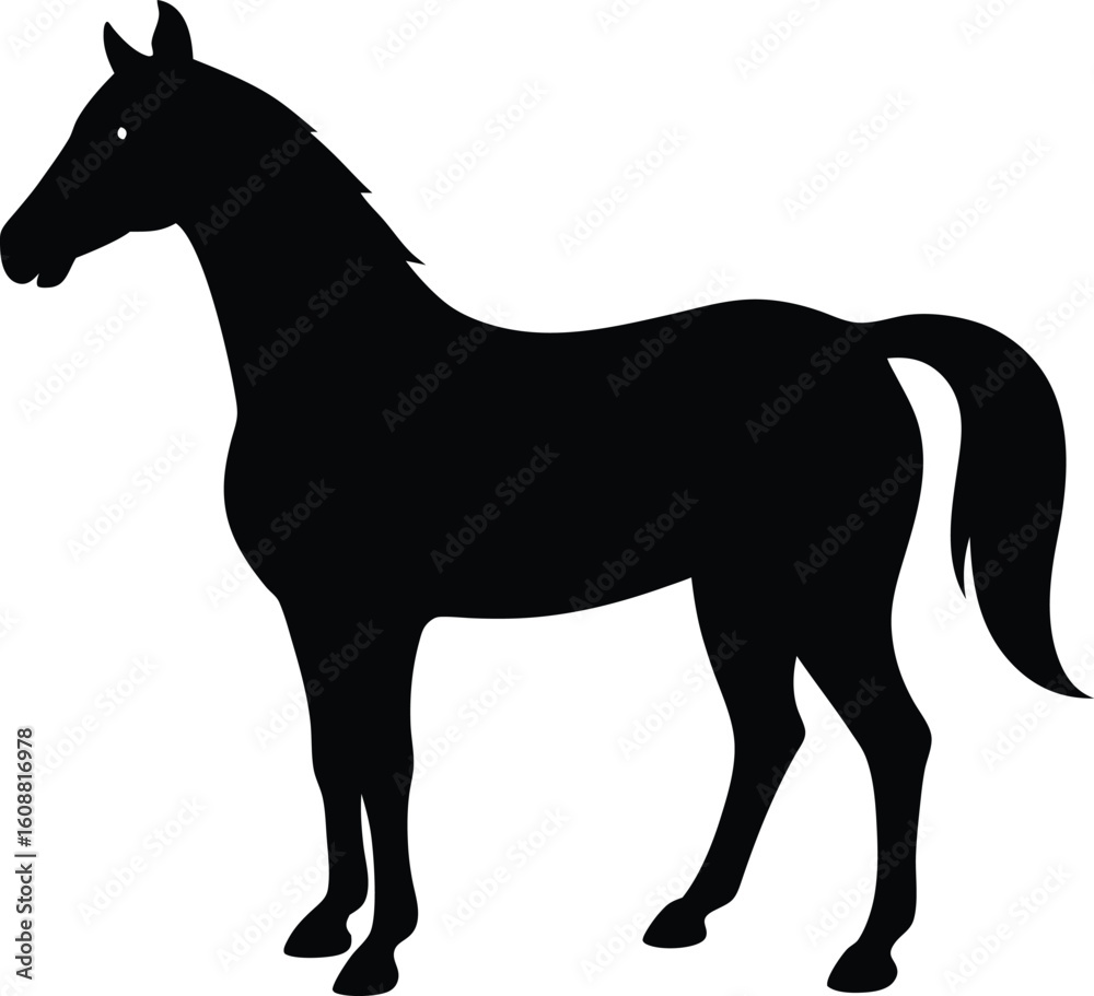 Obraz premium Black and white horse silhouette vector illustration design