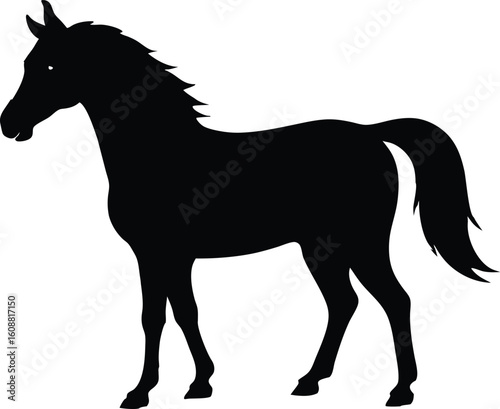 Black and white horse silhouette vector illustration design