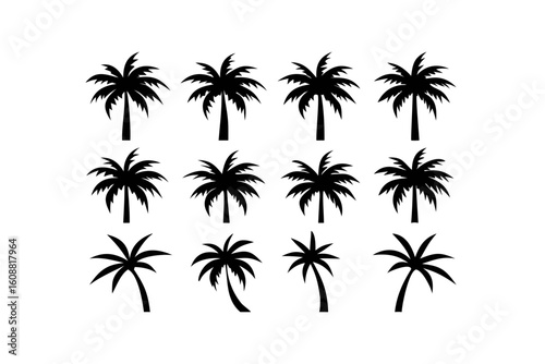 Several black palm tree silhouettes are isolated on white background, symbolizing tropical destinations and relaxing beach vacations