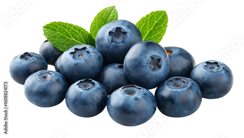 bilberry isolated png bilberry on white or transparent background perfect retouched blueberries no background png bilberries collection full depth of field