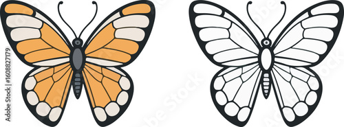Colorful and Monochrome Butterfly Pair for Coloring Books or Educational Materials