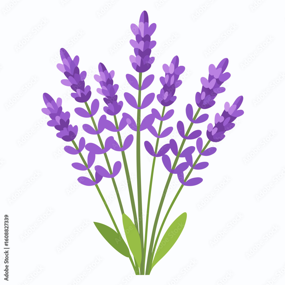 Fototapeta premium bouquet of blue flowers