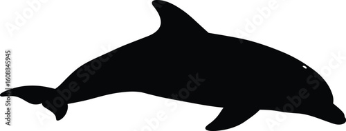 Playful Dolphin Leaping Marine Life Silhouette