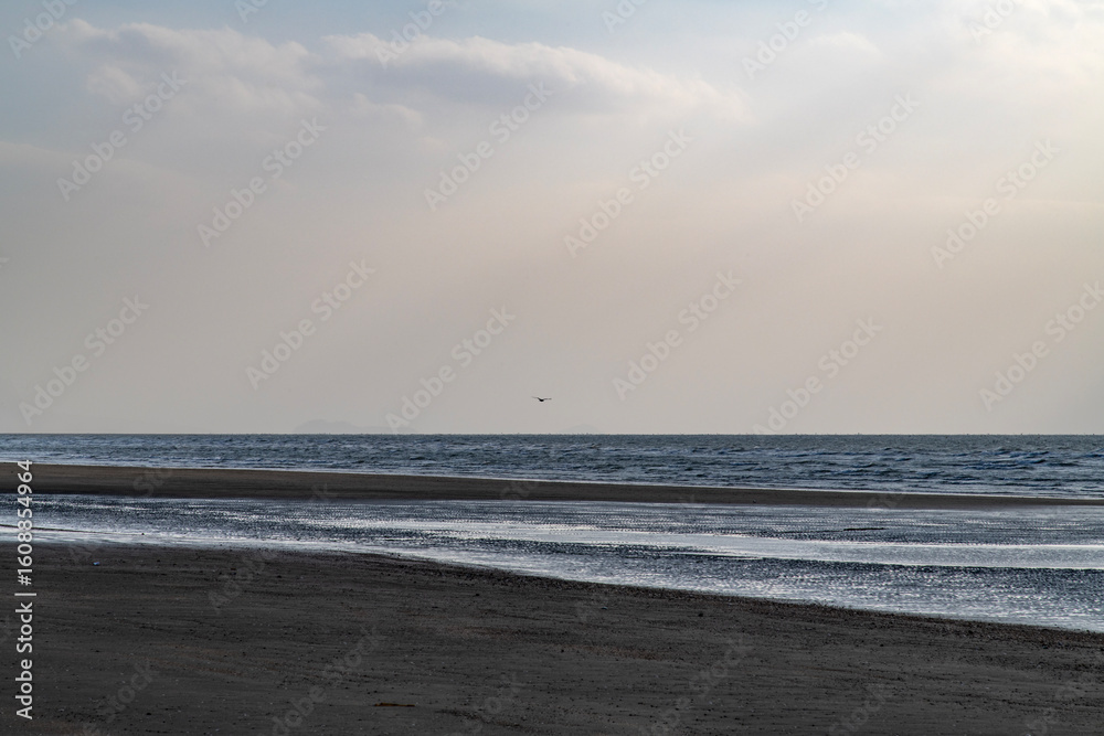 Fototapeta premium tranquil seascape with sunbeams and flying seagull