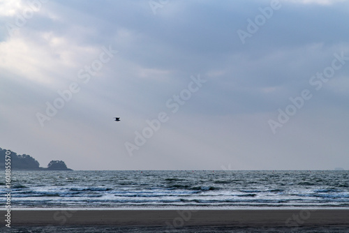 Fototapeta Naklejka Na Ścianę i Meble -  flying seagull with sunbeams on the sea