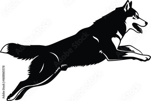 Vector art of a black and vector illustration of a husky, captured in midair during a jump, showcasing its athletic build and energetic spirit