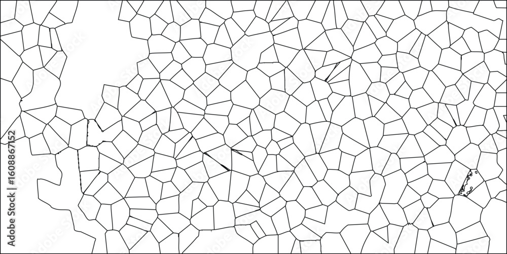 Obraz premium Abstract cellular pattern in black and white with complex geometric design resembling a fractured surface ideal for backgrounds and textures