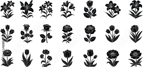 Vector art of a collection of floral silhouettes showcases various flower types