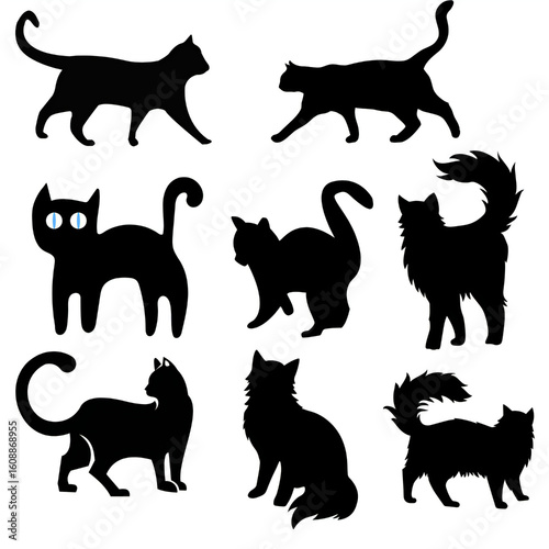 Photos Cat,Shadow, Whiskers,Silhouette, Feline,Mystery, Midnight,Walker, Tail,Up, Quiet,Paws, Silent,Steps, Elegant,Creature, Curious,Look, Backyard,Hunter, Moonlight,Prowler, Eyes,Glow, Sleek,Form, Whisker