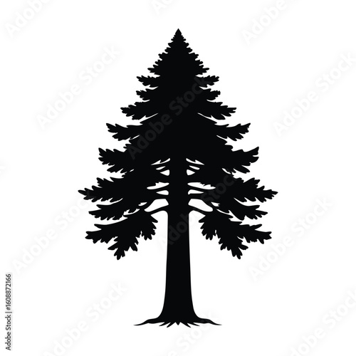 Majestic redwood tree silhouette with detailed bark texture isolated on white background