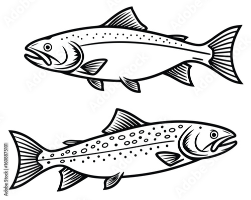 Vintage Salmon Trout Engraving Illustration Aquatic Wildlife Design