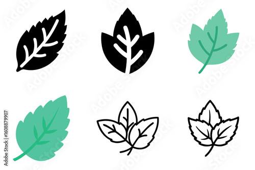 Mint Leaf Icon Vector Illustration
