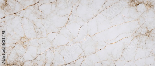 White marble with gold vein texture