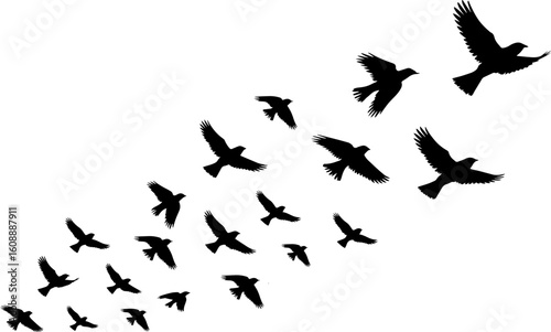 Flock of swallows in flight, bird silhouettes on white background. Minimalist, peaceful nature scene ideal for freedom, migration, and wildlife concepts.