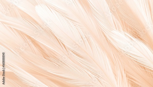 Close-up of Soft Feather Texture in Beige and White Tones Organic Natural Material Background