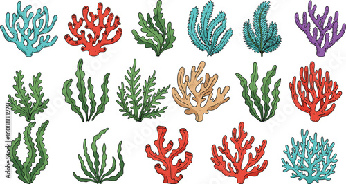 Colorful hand-drawn set of underwater sea plants, coral reef elements, ocean seaweed collection for marine nature design and decoration