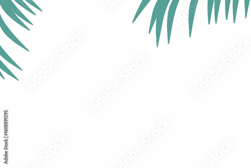 palm leaves frame