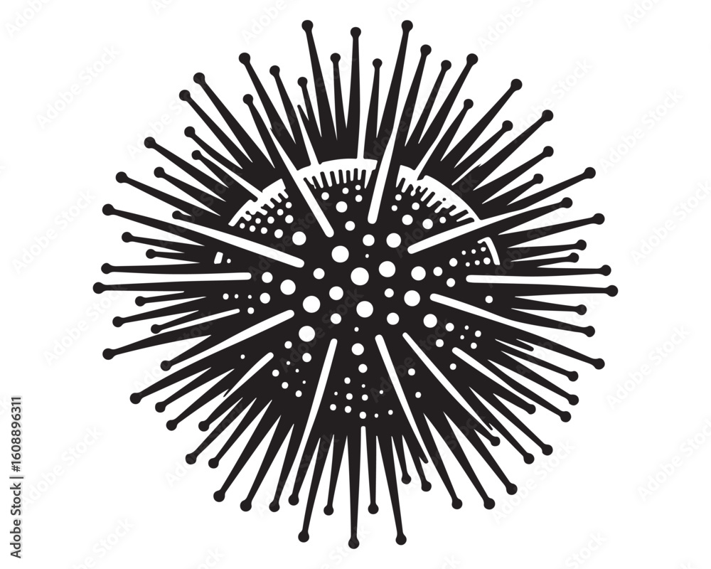 Obraz premium Sea Urchin 6.eps