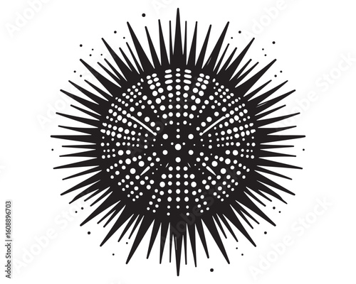 Sea Urchin 17.eps