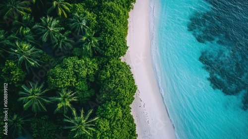 Tropical beach
