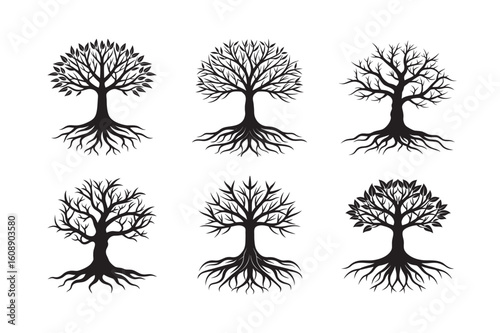 wide rooted oak tree silhouette set bundle on white backgound