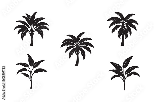 silhouette banana tree in plantation set bundle on white backgound