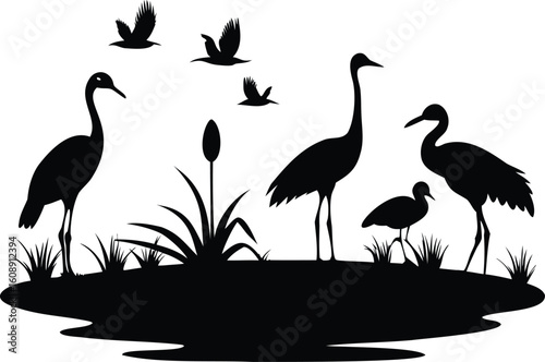 Elegant Silhouette of Cranes and Birds in a Wetland Environment Black and White