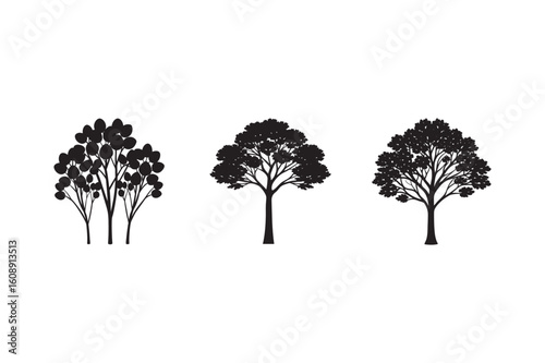 silhouette eucalyptus tree with koala set bundle on white backgound