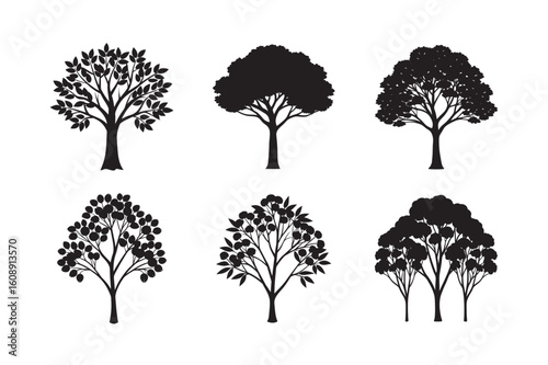 silhouette eucalyptus tree with koala set bundle on white backgound