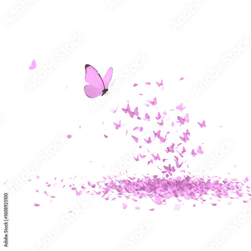 Pink butterfly on white background
