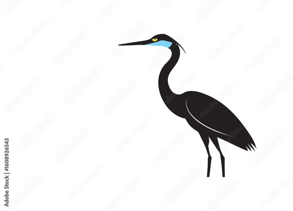 Obraz premium Heron Standing In Water With Reflection