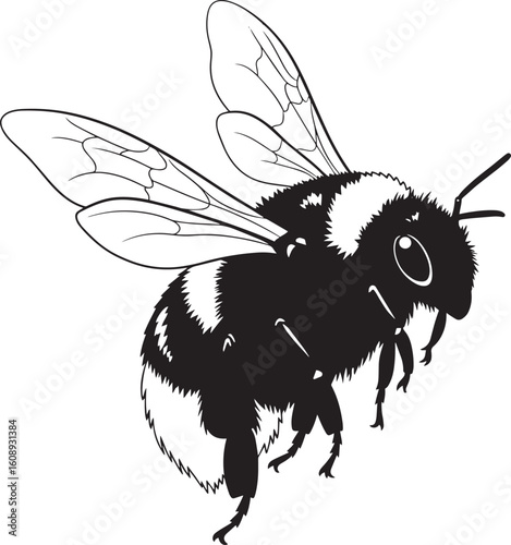 Detailed black and white illustration of a bumblebee.
