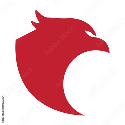 Falcon eagle bird