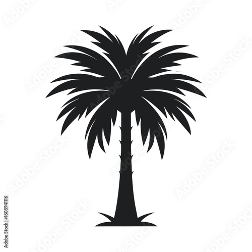 Silhouette of a tropical palm tree against a white background