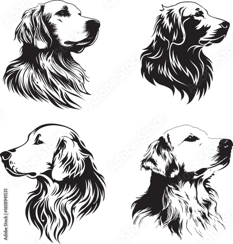 Four detailed black and white sketches of golden retriever dog heads