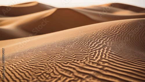 Serene desert landscape with golden sand dunes and intricate wind-blown patterns, ideal for nature-themed designs, wallpapers, or travel photography.