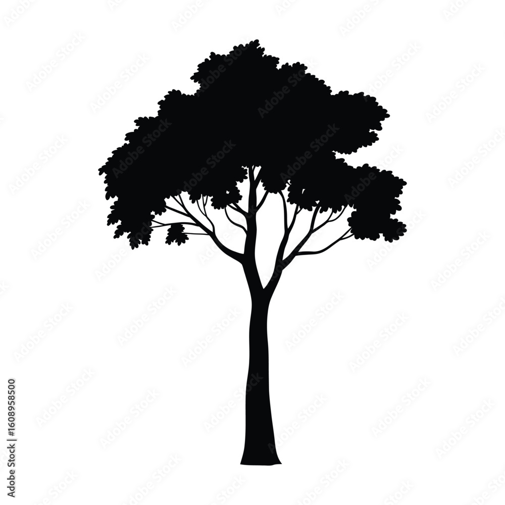 Fototapeta premium Mature Tree Silhouette: Tall Deciduous Black and White Nature Vector.