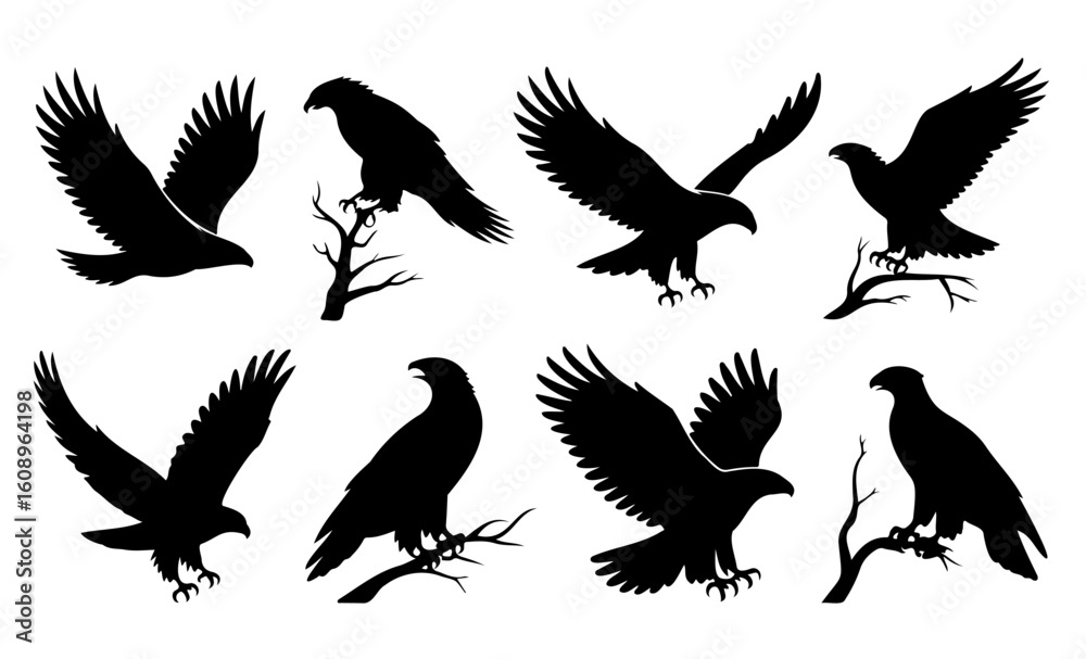 Obraz premium Eagle Silhouette Set Flying & Perched Bird of Prey Vector Graphics 