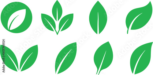 Collection of Fresh Green Leaf Icons, Representing Growth and Environmental Awareness