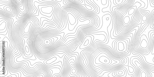 Topographic contour lines map seamless pattern, vector natural shadow papercut web topography map spiral line, pattern shape in organic wood on white and transparent background.
