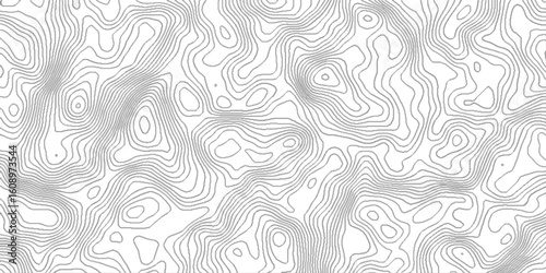 Topographic contour lines map seamless pattern, vector natural shadow papercut web topography map spiral line, pattern shape in organic wood on white and transparent background.