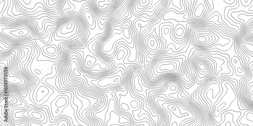 Topographic contour lines map seamless pattern, vector natural shadow papercut web topography map spiral line, pattern shape in organic wood on white and transparent background.