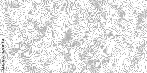 Topographic contour lines map seamless pattern, vector natural shadow papercut web topography map spiral line, pattern shape in organic wood on white and transparent background.