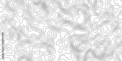 Abstract minimal the pattern discovery vector topo map, geographic mountain relief diagram line wave carve pattern, contour abstract map relief land outline, topographic background mountain.